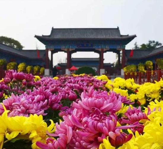 北京公园菊展施工